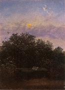 Carl Gustav Carus Blooming Elderberry Hedge in the Moonlight oil on canvas